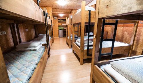 Single Bed in Mixed Dormitory Room