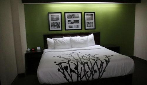 Queen Room - Accessible/Non-Smoking