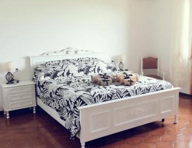 King Room with Garden View