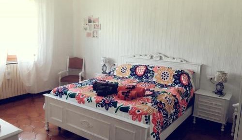 King Room with Garden View