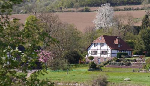 Apartment with Lake View