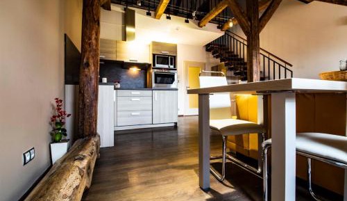 One-Bedroom Apartment with Terrace - Split Level