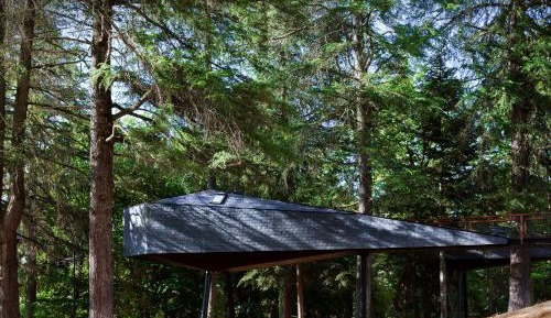 Tree House