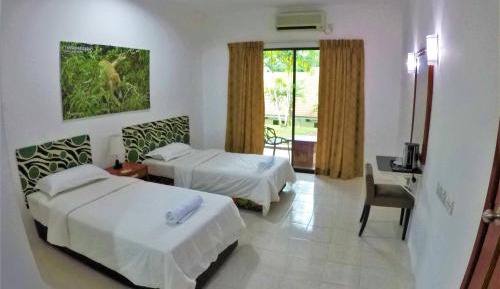 Double or Twin Room