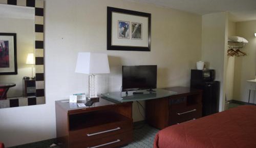 King Room - Pet-Friendly