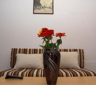 Studio with Sofa Bed