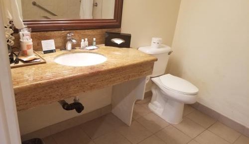 Standard Room, 1 King Bed, Accessible Tub, Non Smoking