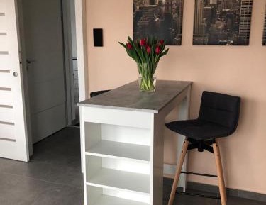 Deluxe One-Bedroom Apartment