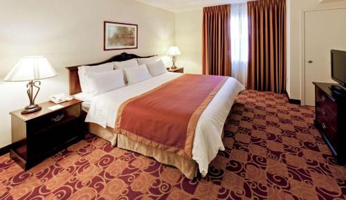 One-Bedroom King Suite - Non-Smoking