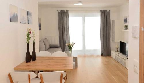 Superior One-Bedroom Apartment