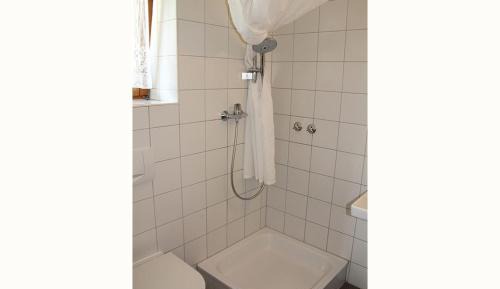 Standart Apartment 
