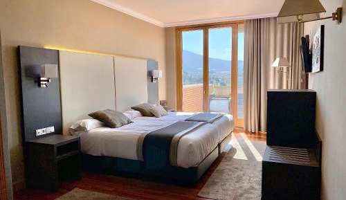 Double or Twin Room with Terrace