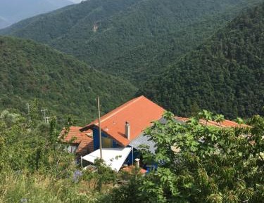 Double Room with Park View