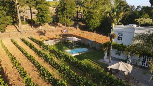 Merlot Villa