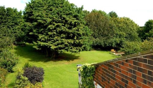 Classic Twin Room with Garden View