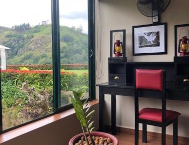 Deluxe Mountain View