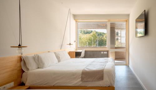 Superior Double or Twin Room with City View