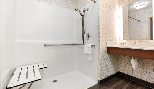 King Room with Roll-In Shower - Disability Access