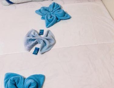 Family Room with Bathroom