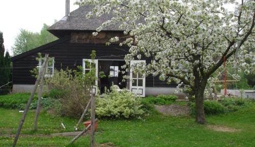 One-Bedroom House