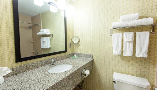 One-Bedroom King Suite