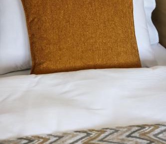 Deluxe Double or Twin Room with Mountain View