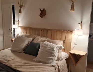 Studio with Garden View