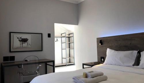 Superior Deluxe Double or Twin Room 
