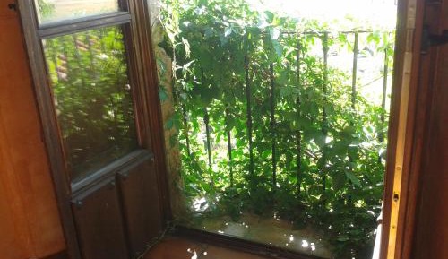Twin Room with Balcony