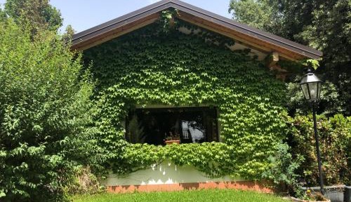 Studio with Garden View