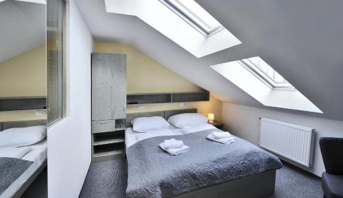 Double or Twin Room - Attic