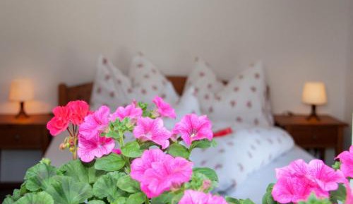 Two-Bedroom Apartment with View to the West 