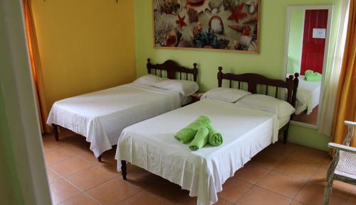 Large Double or Twin Room