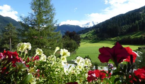 One-Bedroom Apartment with Balcony and Mountain View  