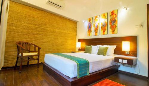 Standard  Double Room