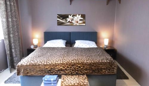 Double or Twin Room with Shared Bathroom