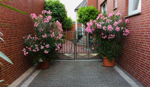 Apartment - Split Level