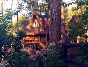Family Room with Private Bathroom