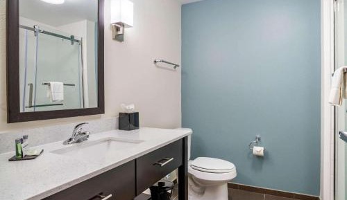 King Room with Shower - Non-Smoking