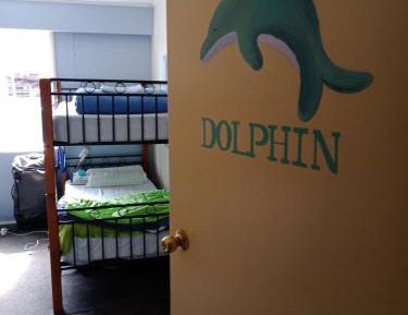 Bed in 6-Bed Mixed Dormitory Room