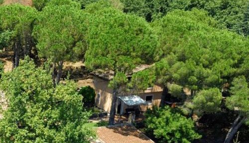 Villa with Garden View