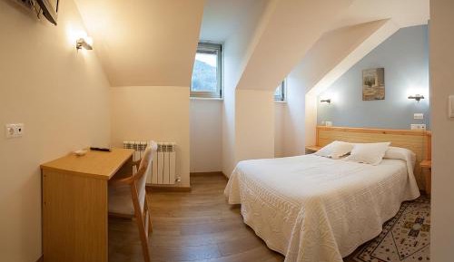 Basic Double Room