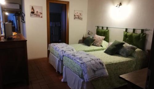 Double or Twin Room