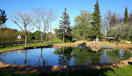 Double Room with Garden View