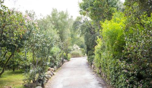 Three-Bedroom Apartment (8 Adults)