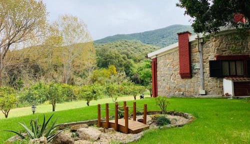 Villa with Garden View