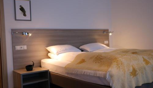 Double or Twin Room with Lake View