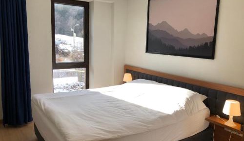 Apartment with Mountain View