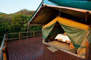 Luxury Tent with Splash Pool 