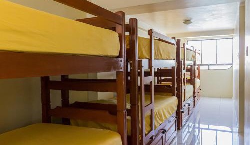 Bunk Bed in Mixed Dormitory Room